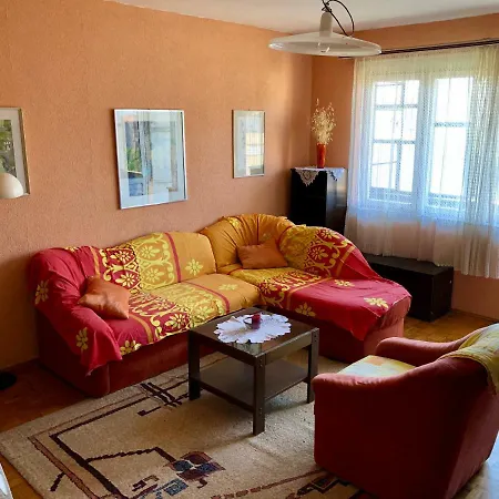 Big Flat In City Center Apartment