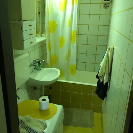 Big Flat In City Center Apartment *